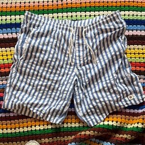 Element Blue and White Striped Athletic Shorts